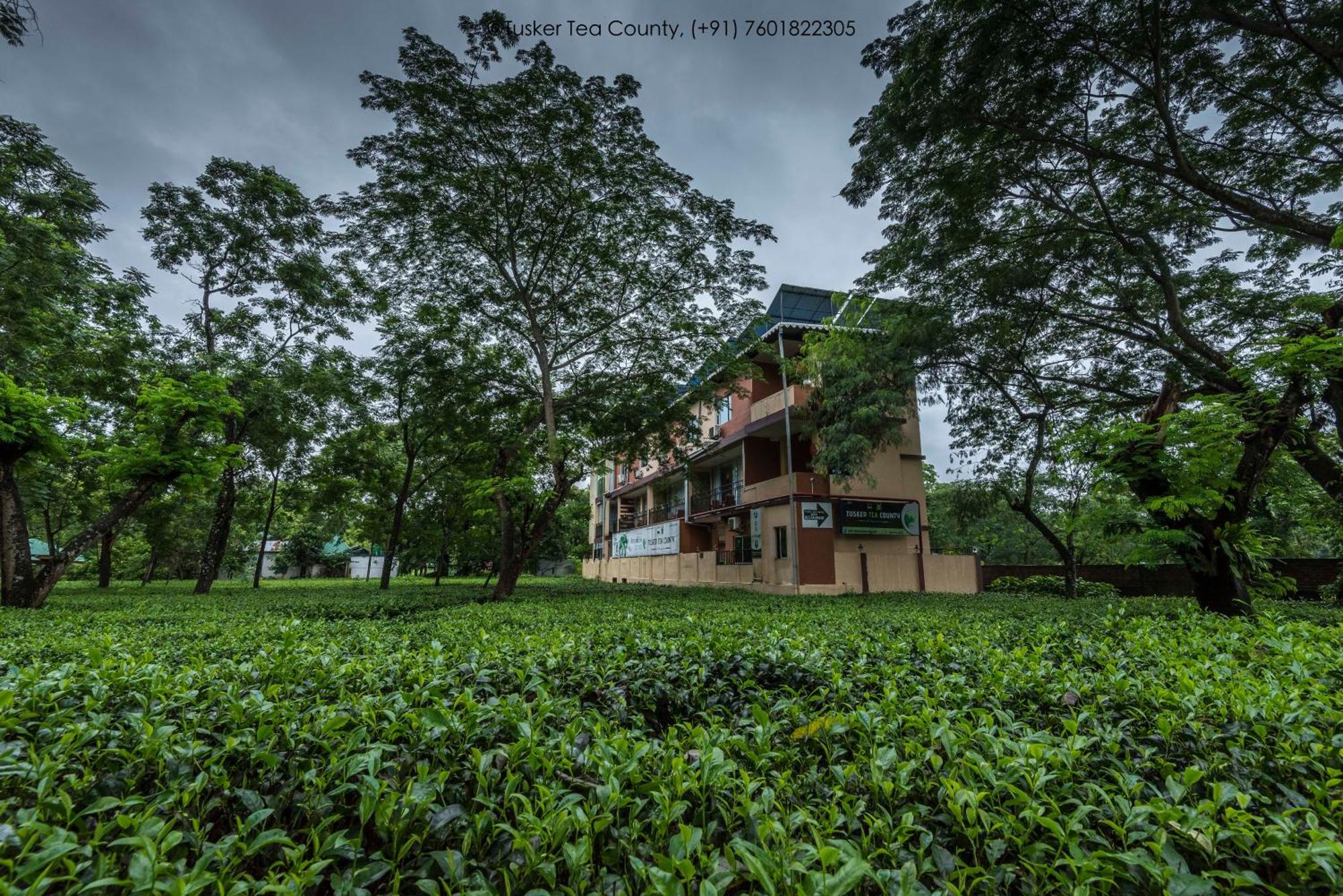 Tusker Tea County Hotel Chalsa Exterior photo